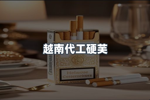 越南代工硬芙